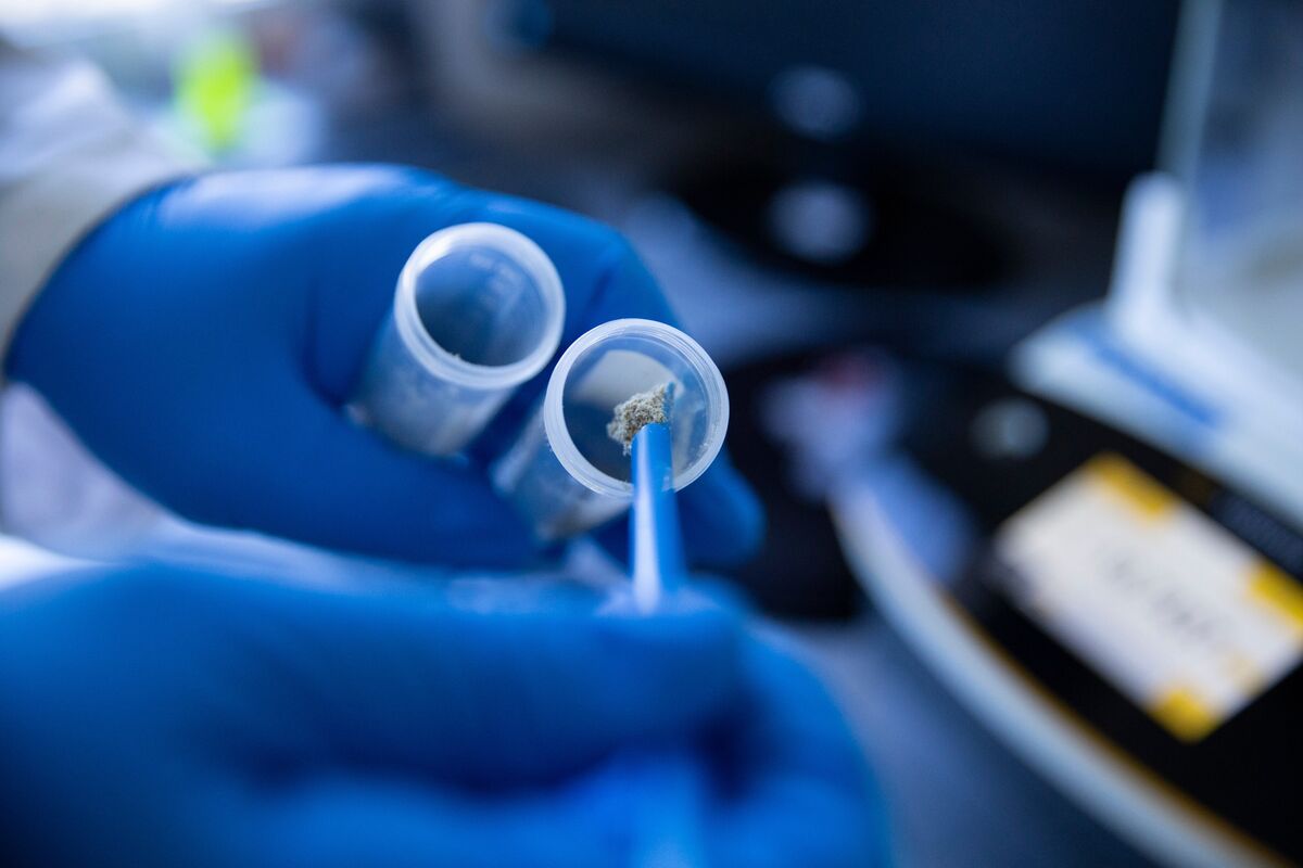 Atai Life Sciences Plans $390M Merger With Beckley Psytech