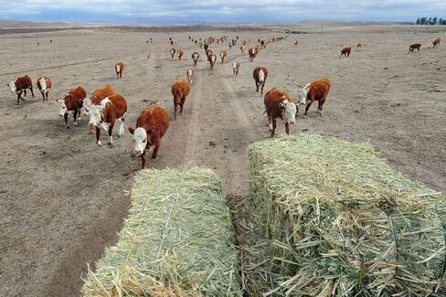Megadroughts Worse Than the Dust Bowl Could Hit the Southwest