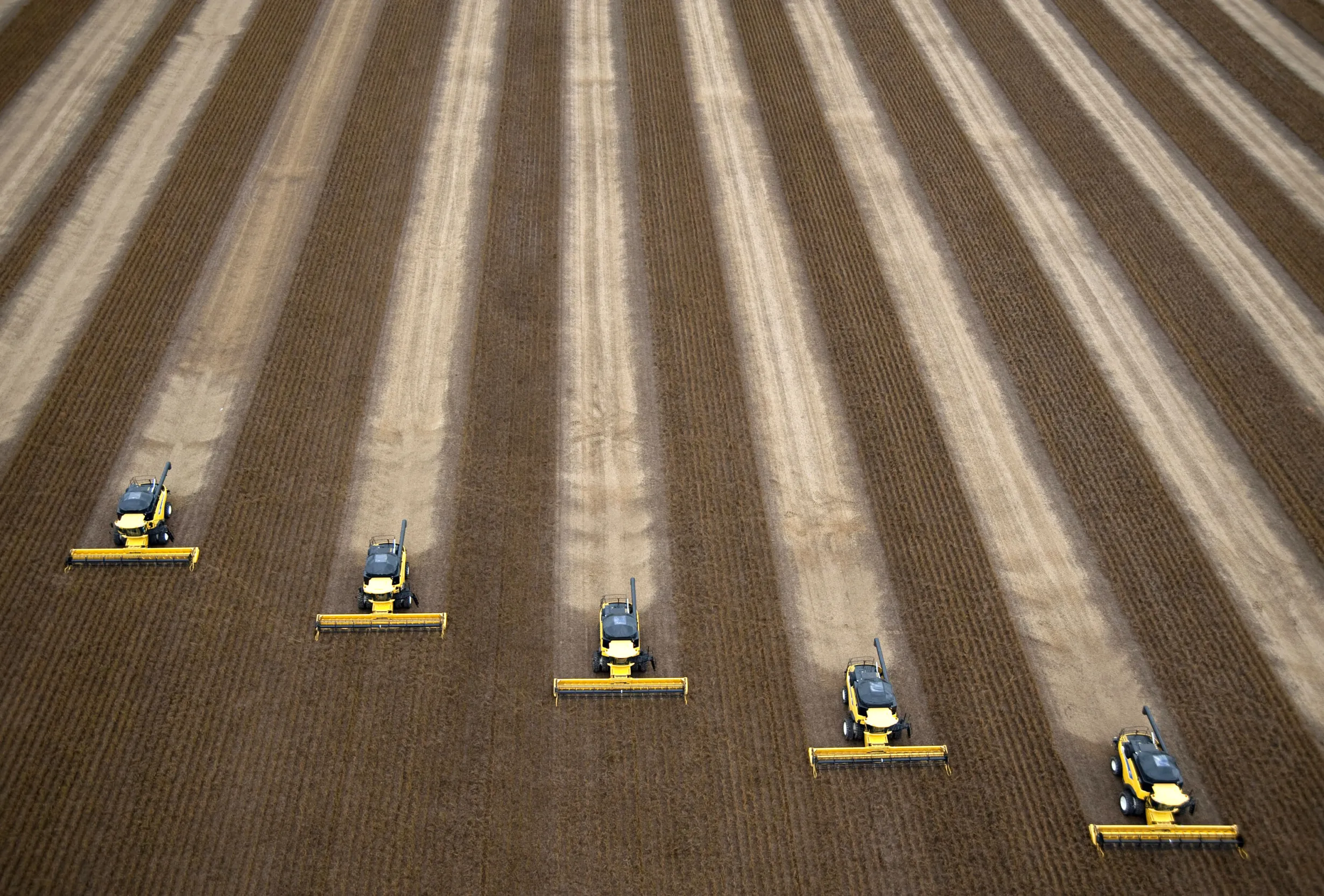 Combines harvest soybeans in Correntina, Brazil in 2010.