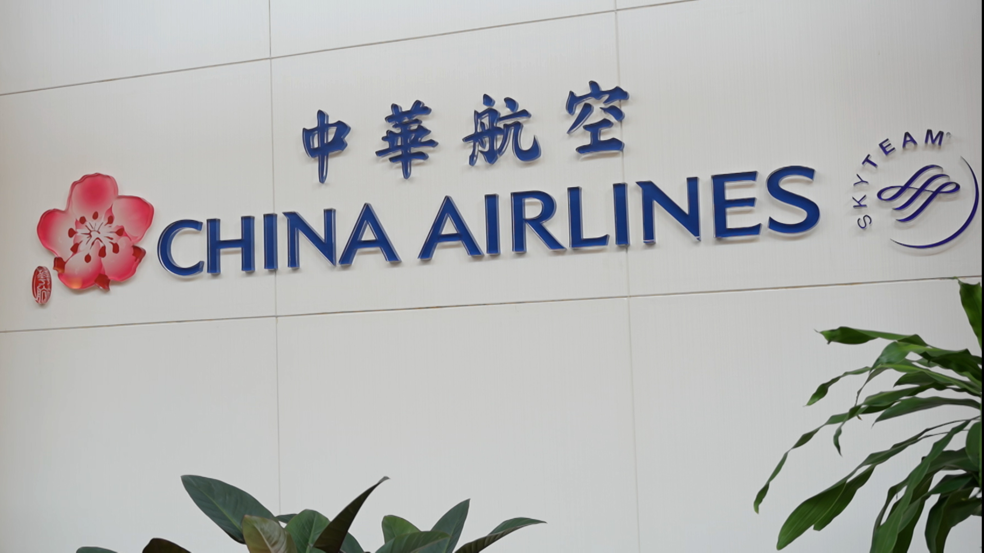 'We Are Looking for a New Fleet,' Says China Airlines CEO | Flipboard