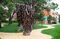 A view of the renovated Giardino della Marinaressa with Ursula Von Rydingsvard's sculptures in situ.
