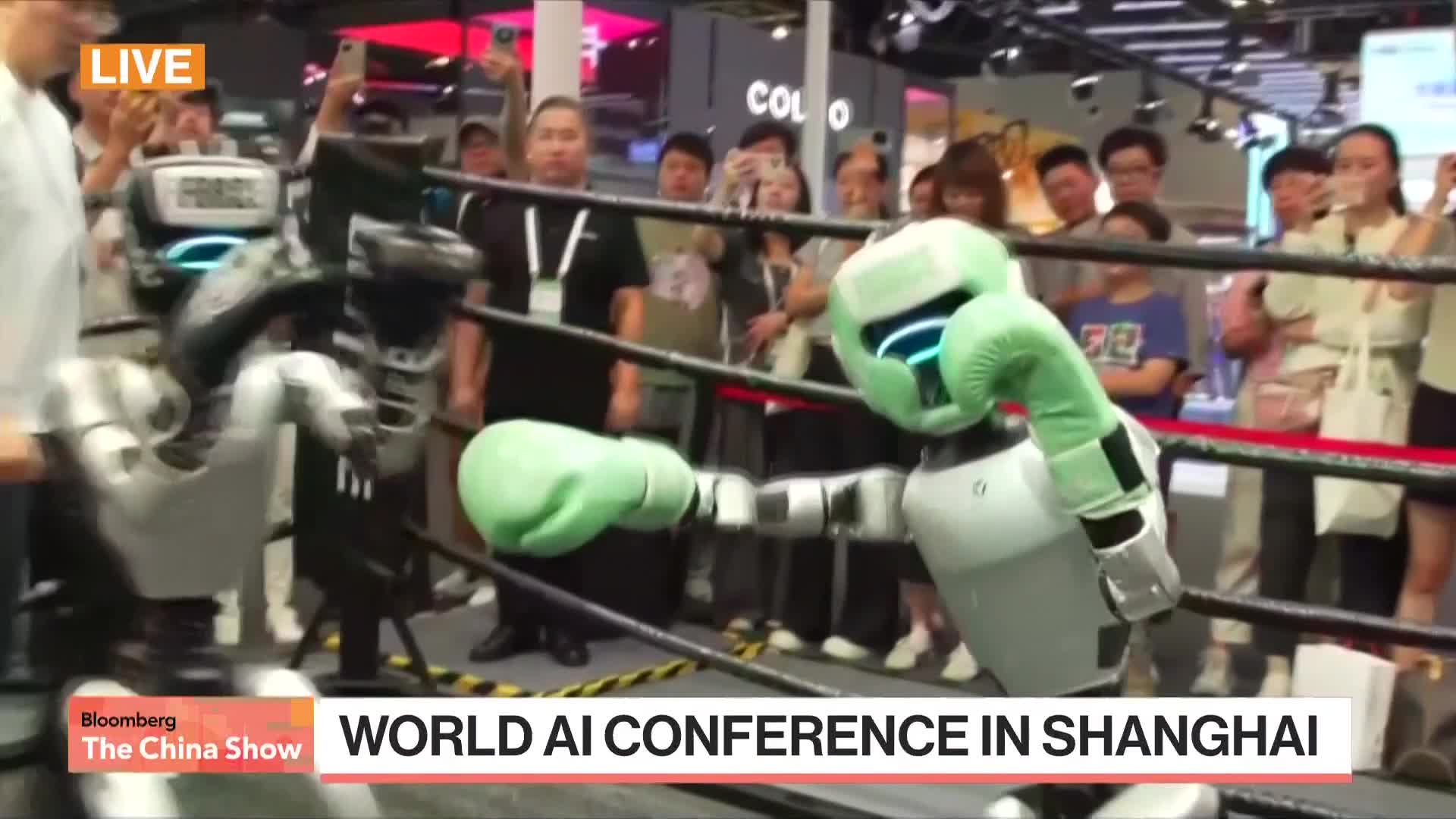 Boxing, Backflipping Robots Rule at China's Biggest AI Summit