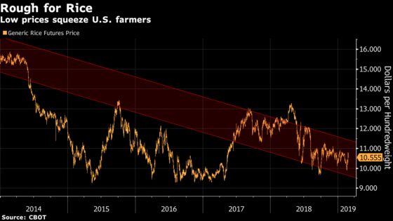 Rival Rice Growers Crush U.S. Farmers Already Beset by Trade War