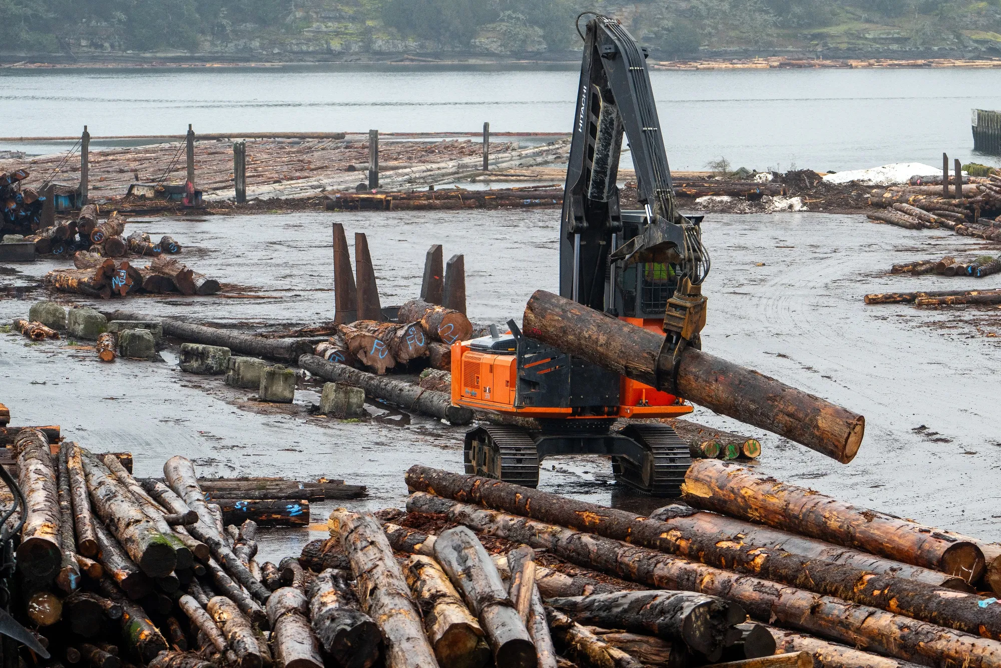 The current duties are the result of a trade dispute between Canada and the US that has been dragging on for decades.