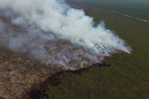 Smoke rises from a forest fire in South Sumatra, Indonesia.