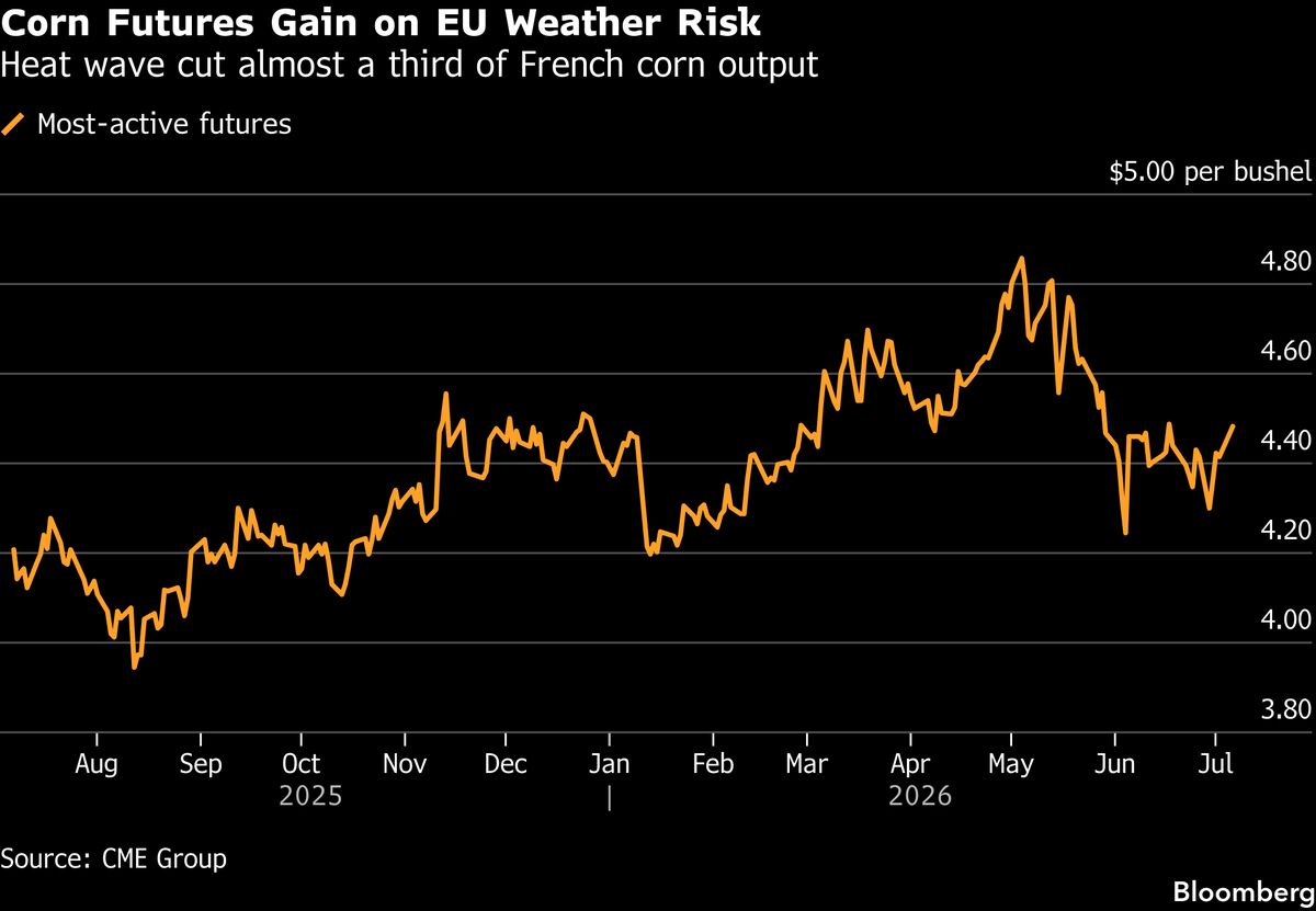Corn Jumps as French Crops Damaged by Intense European Heat Wave