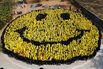 1519748633_hatheway-smile2