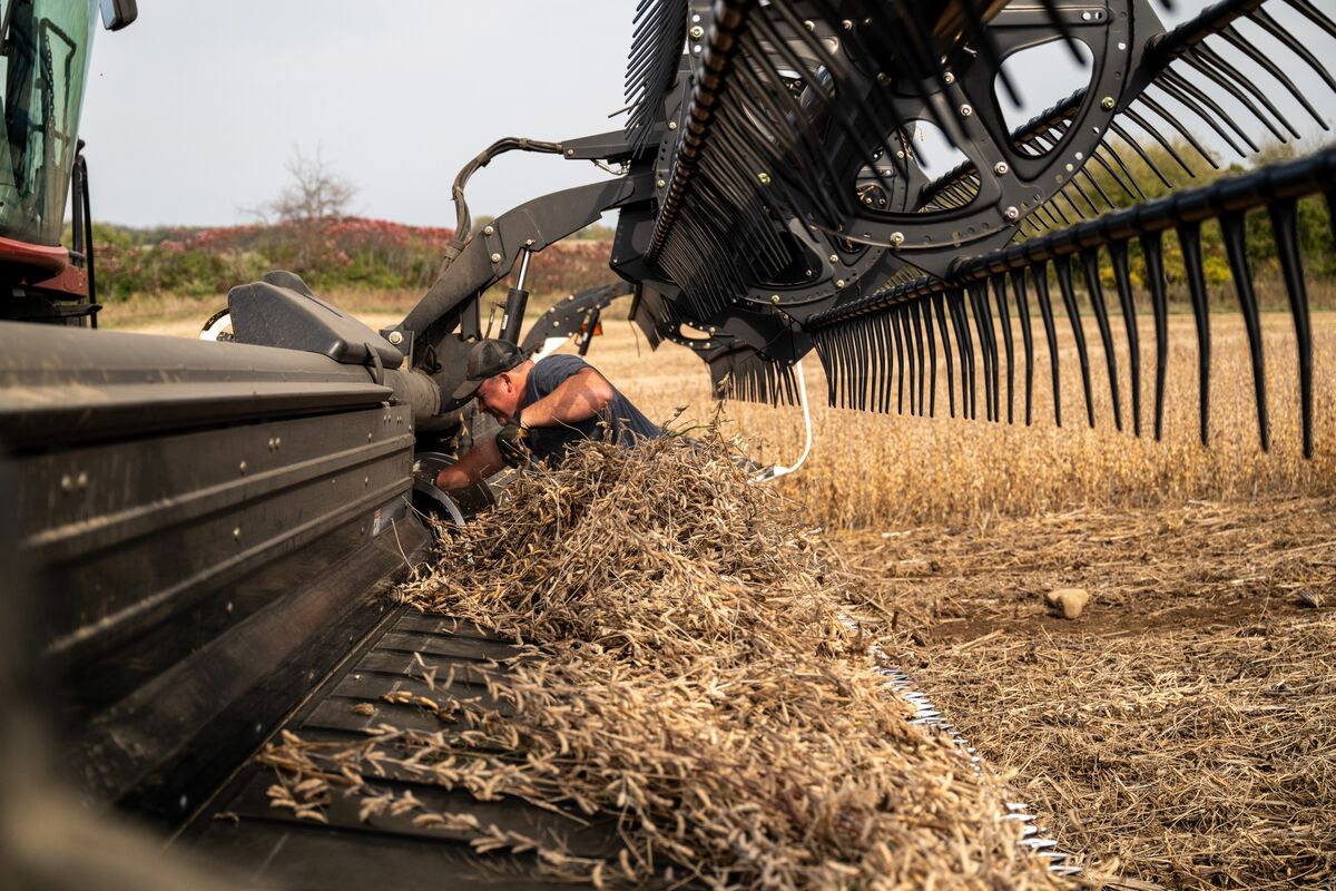 China Slows Down Soybean Purchases Ahead of Xi-Trump Summit