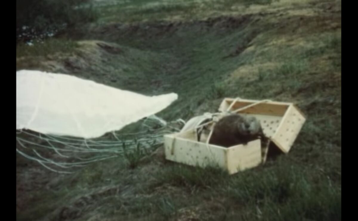 Recently Unearthed Archival Footage Shows Idaho Fish and Game