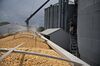 Soybeans and corn as US-China trade crops get cheaper