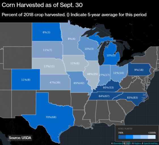 Midwest Deluge Frustrates Farmers at Harvest Time
