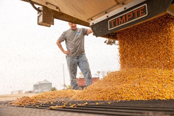 Ethanol Giant Bets on Low-Carbon Corn With Eye on Markets