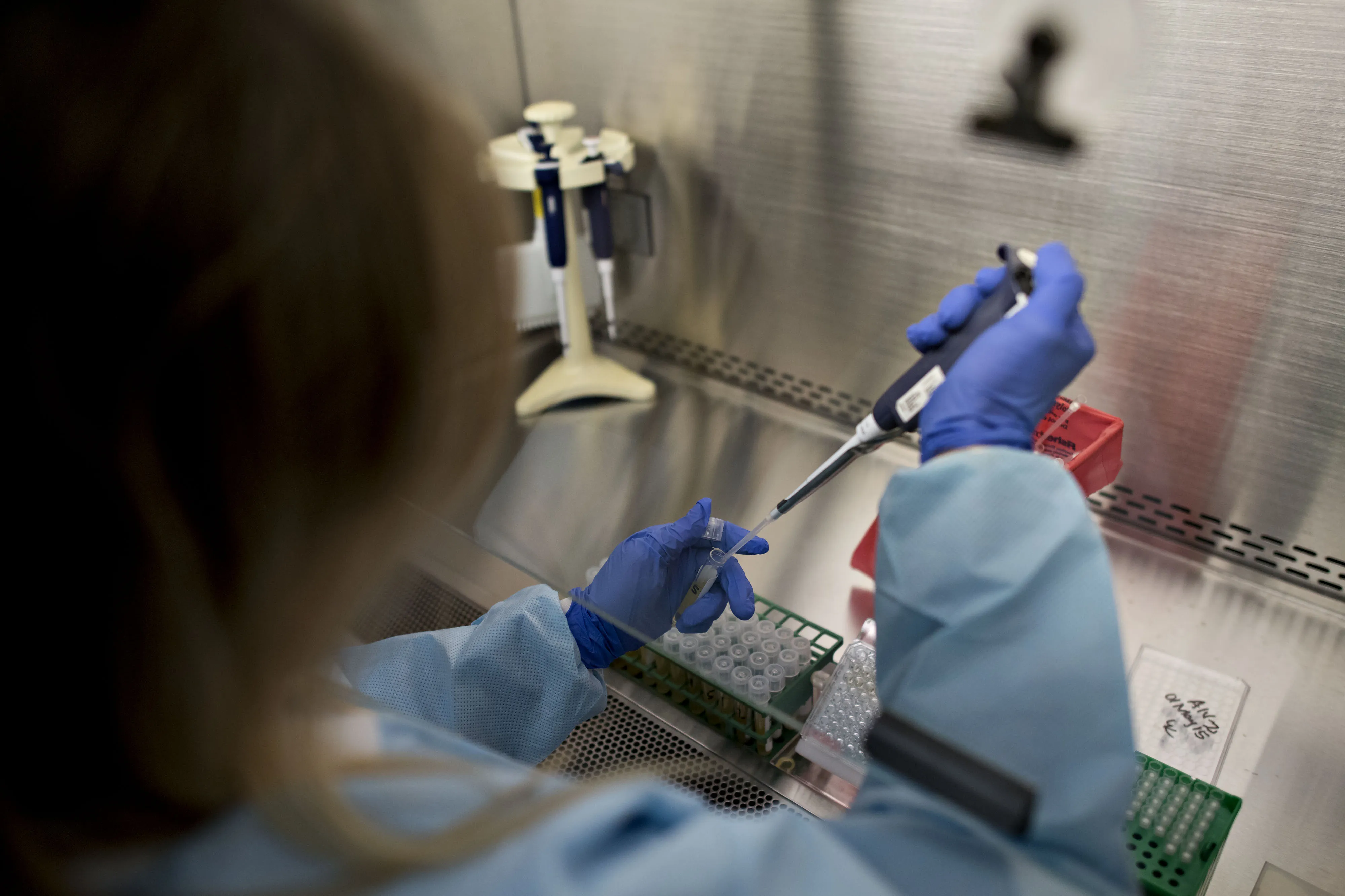 A research associate tests avian influenza samples.