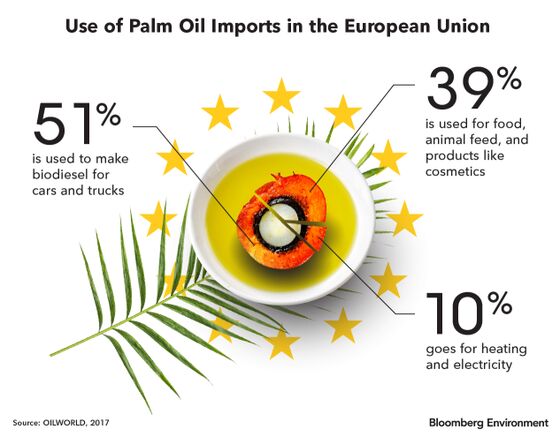 Palm Oil Is at the Heart of the Next Trade War