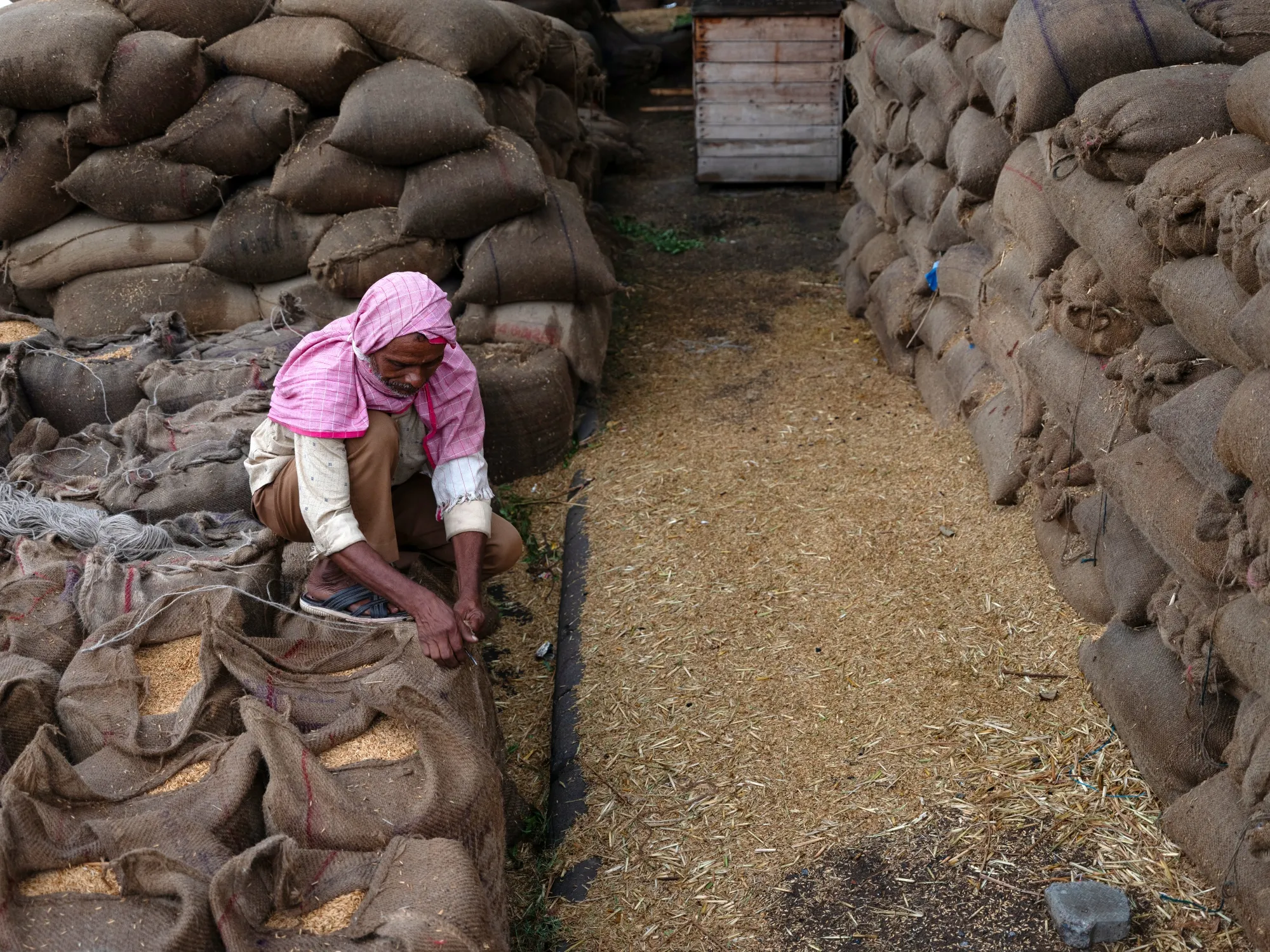 A worker seals sacks of paddy rice at a wholesale market in Haryana, India, earlier in October.