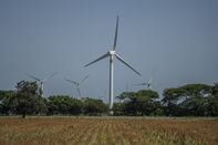 Wind Project Splinters A Mexico Region Prized For Powerful Gusts
