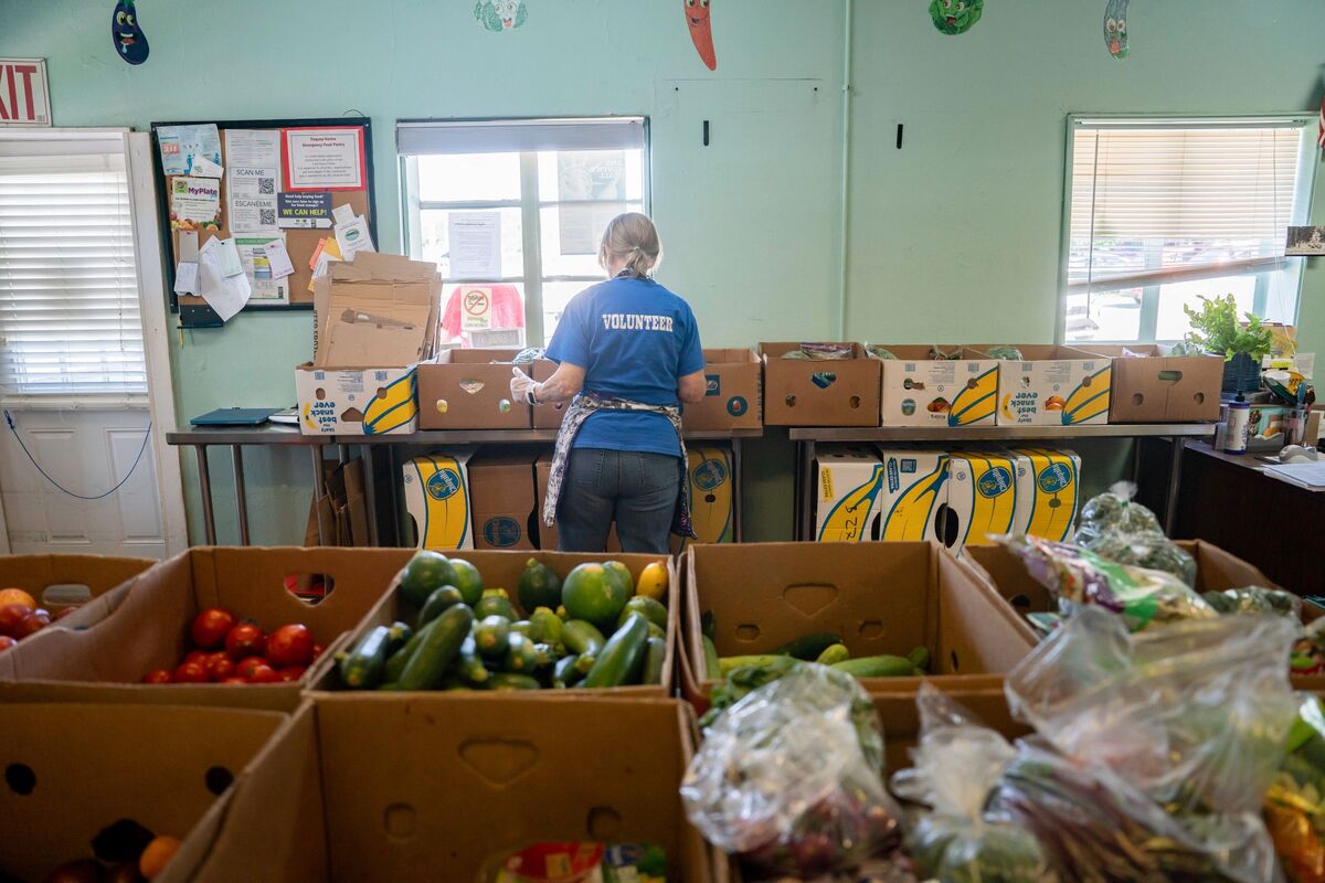 SNAP Cuts Could Cost Republicans in November