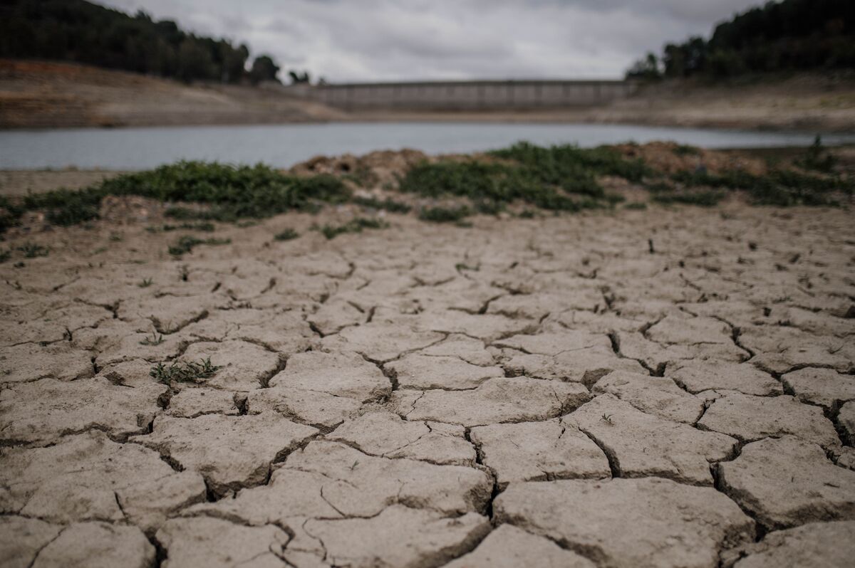 Став засуха. Засуха. Засуха в Испании. Засуха в Испании сейчас.