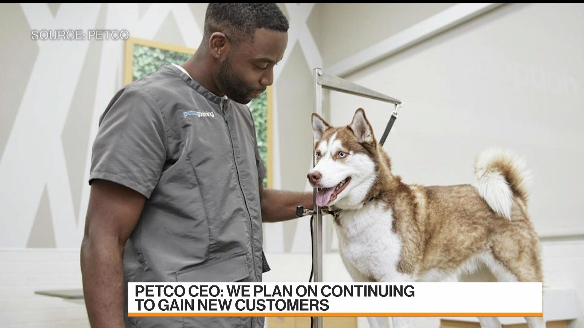 Petco vet sales