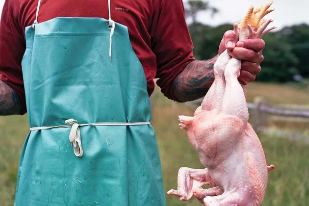 The Next Thing in Farm-to-Table? Mobile Slaughterhouses