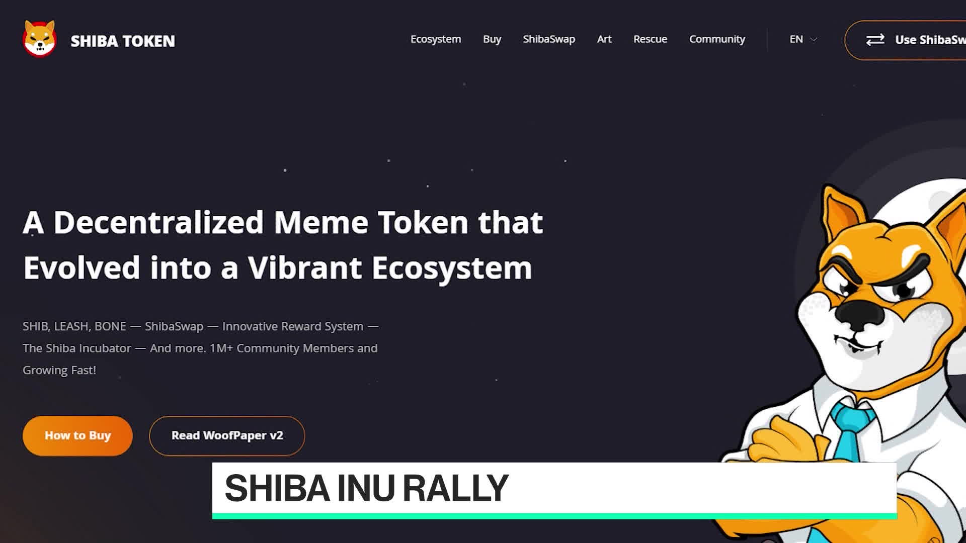 Watch Microstrategy CEO on Shiba Inu, Crypto Regulation - Bloomberg