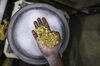P.N. Gadgil Jewellers Pvt Retail and Production as the Battle for India's $45 Billion Gold Industry Has Begun