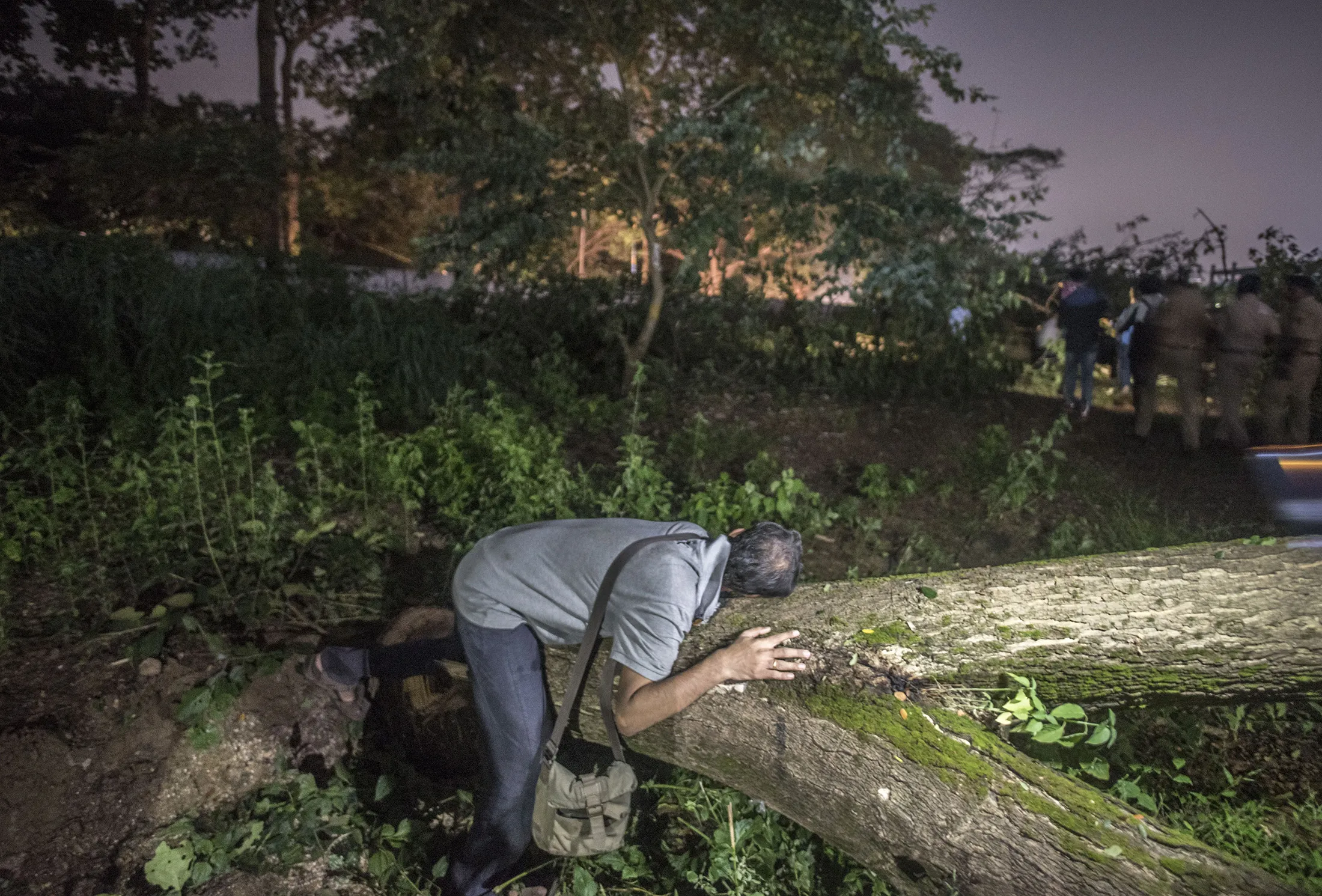 An activist hugs a fallen tree at the Metro car shed in Aarey, Mumbai on Oct. 4.