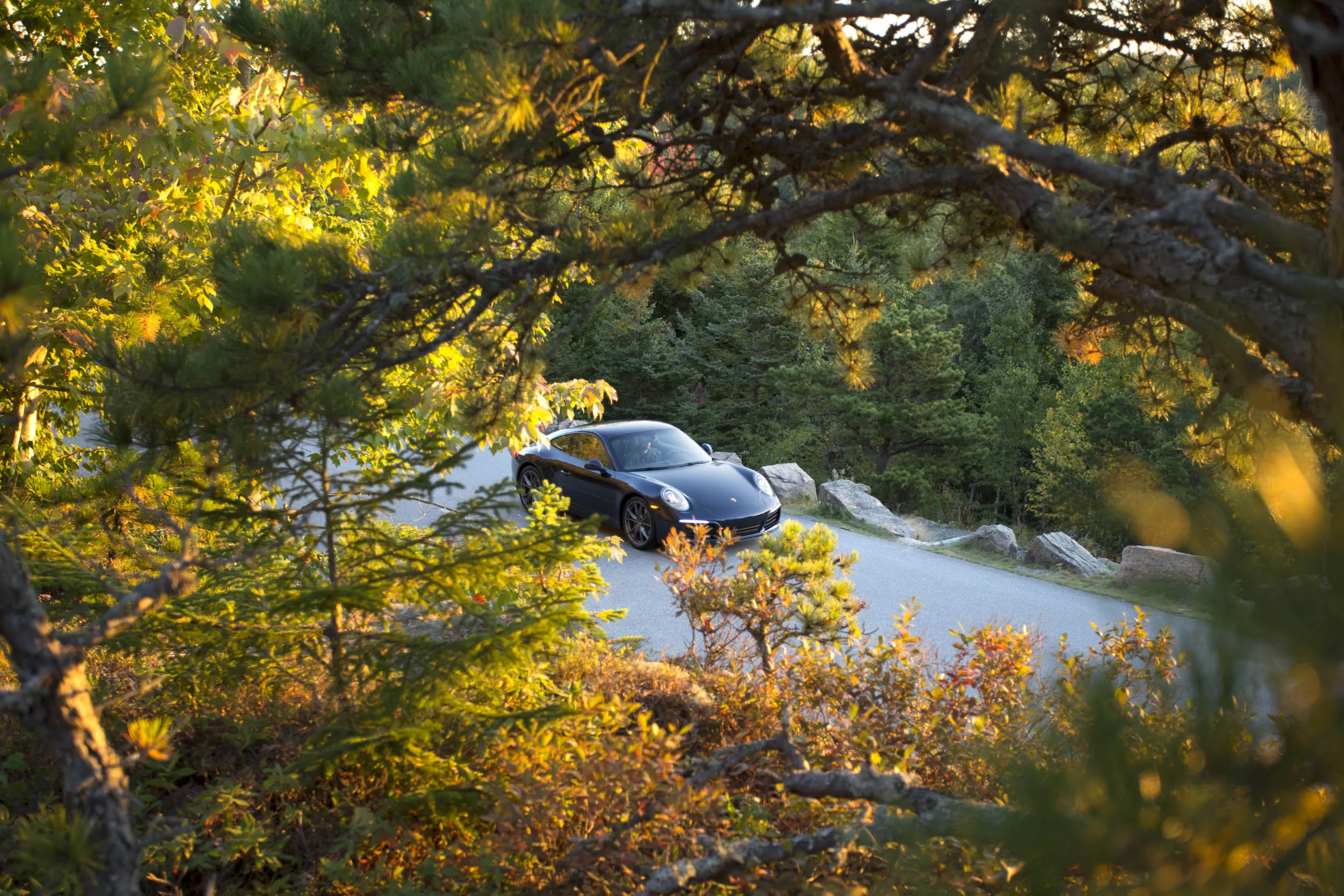A Porsche 911 Carrera on Mount Desert Island.