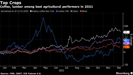 Coffee Tumbles on ‘Surprising’ USDA Surplus View, Omicron Fears