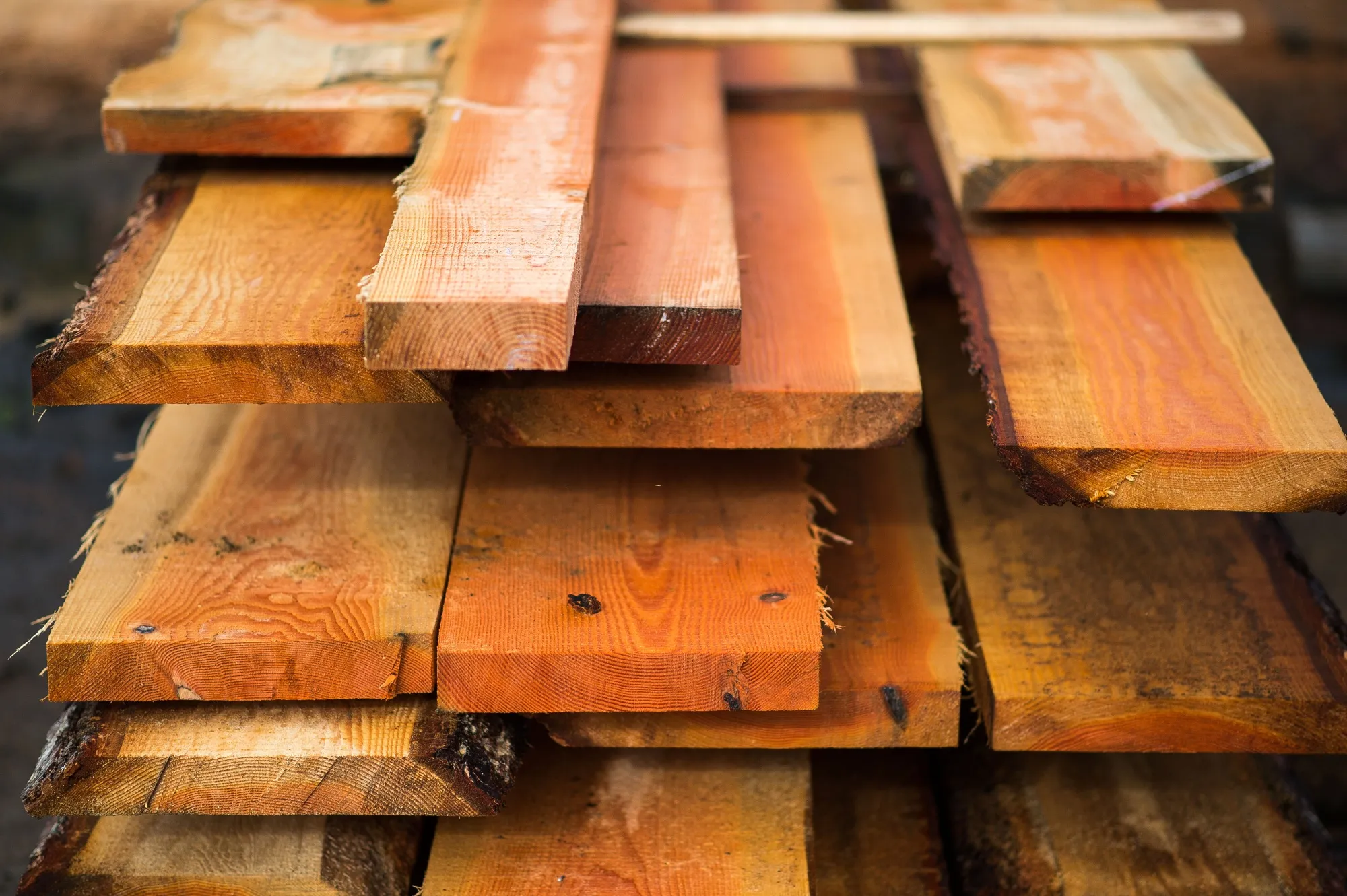 Freshly cut boards at a sawmill in Sooke, British Columbia.