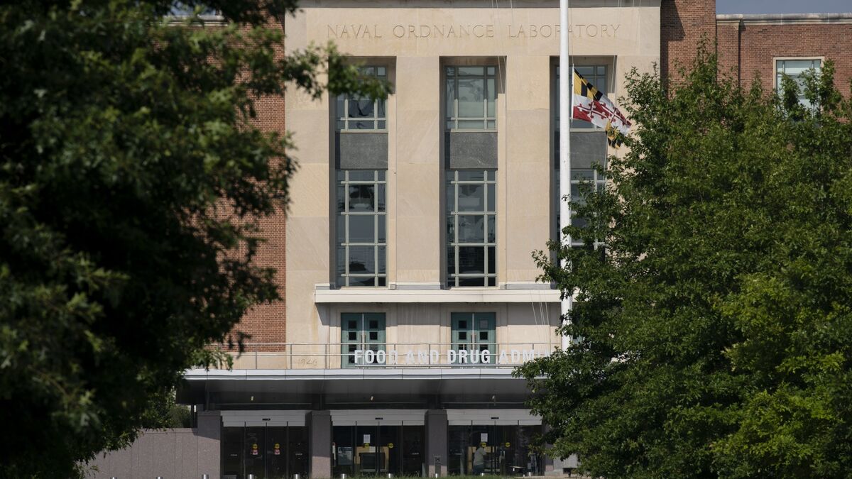 Lawmakers Press FDA to Target Compounded, Fake Weight-Loss Drugs