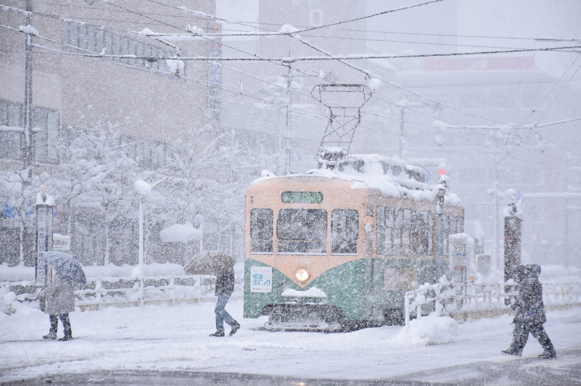 Photos: Heaviest snowstorm in years cuts power, delays travel in Tokyo