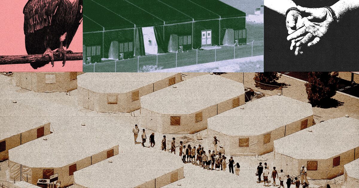 ICE Leans On Detention Center Vendors In Deportation Push Worth Billions