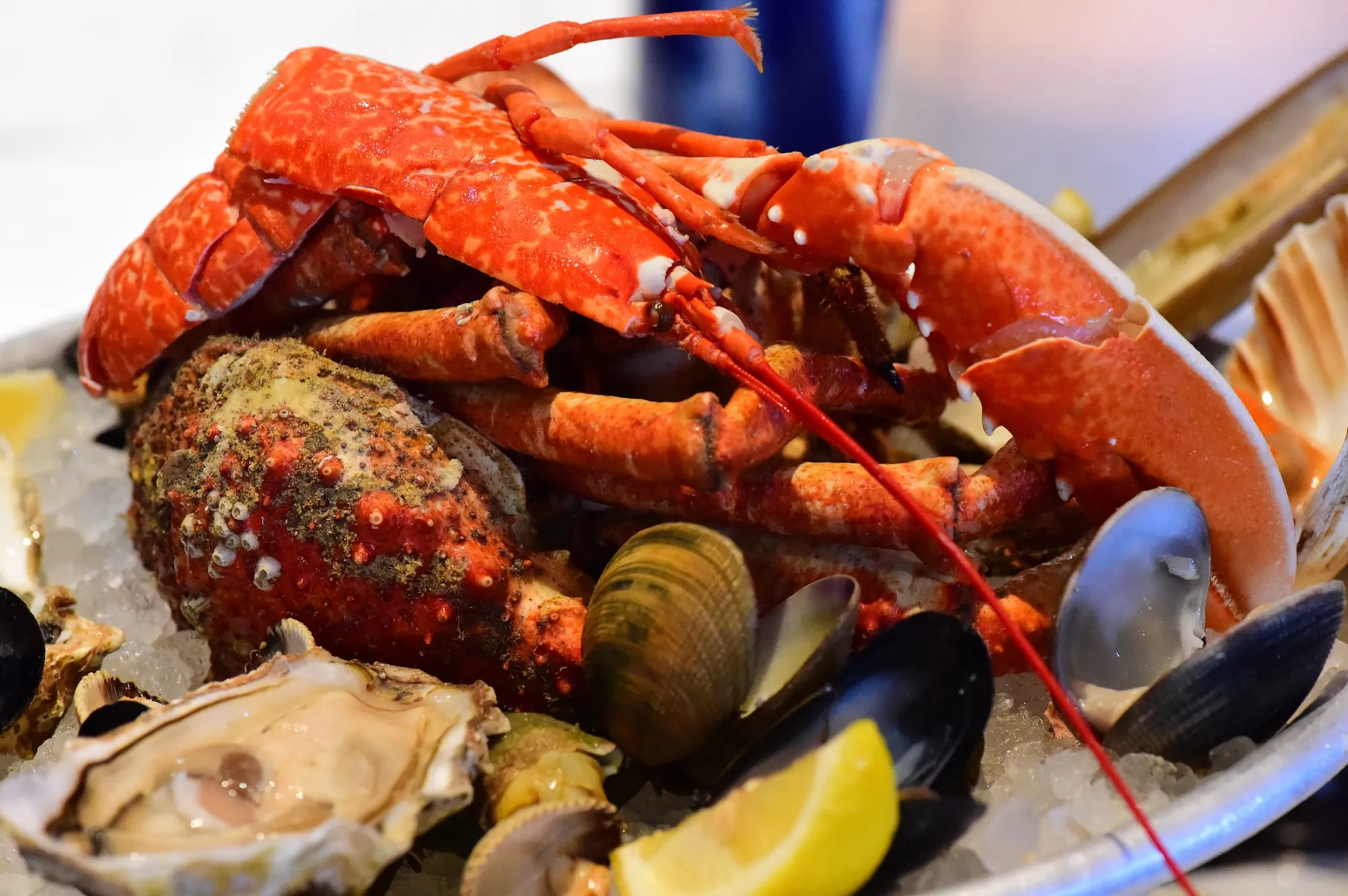 Fruits de Mer