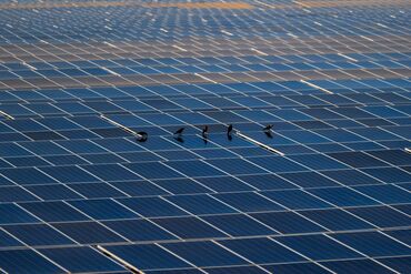 India’s ReNew Energy Trims Solar Output Due to Grid Constraints