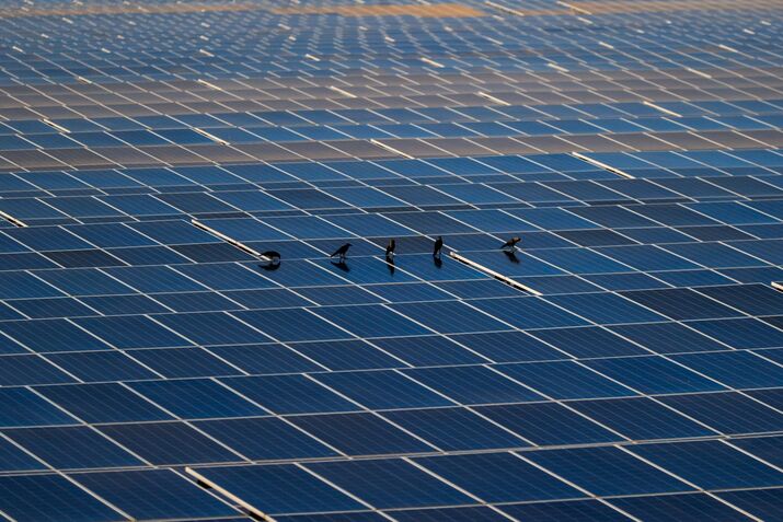 India’s ReNew Energy Trims Solar Output Due to Grid Constraints