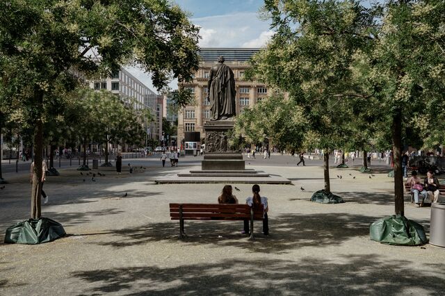 Two people sit on a bench shielded from the sun by trees. 
