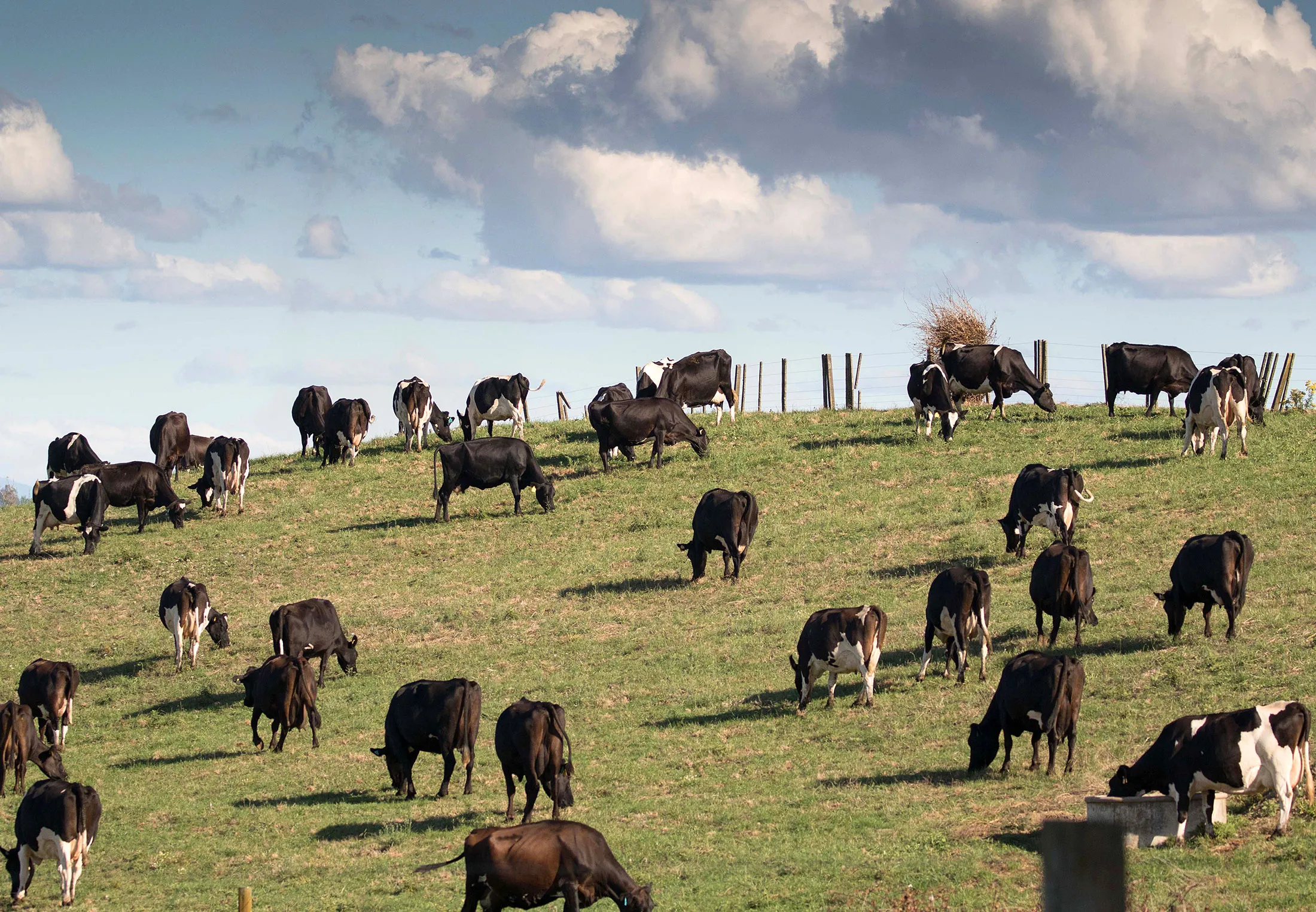 Operations At A Fonterra Cooperative Group Ltd. Supplying Dairy Farm Ahead Of Half-Year Results
