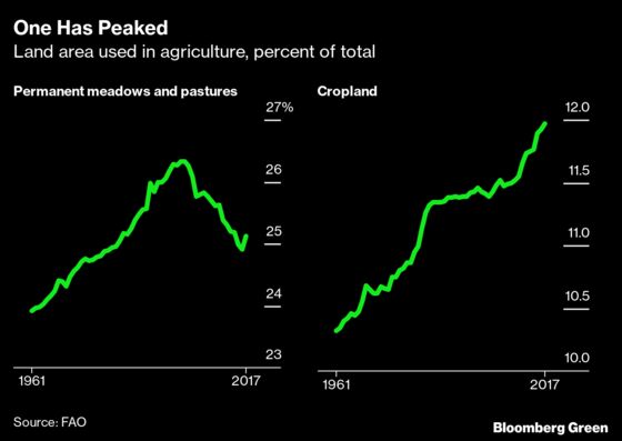 Peak Beef Is Better Climate News Than You Thought