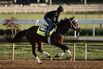 Kentucky Derby Previews