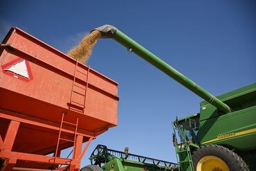 Soybeans Slump As Trump Threatens More Tariffs On China Goods