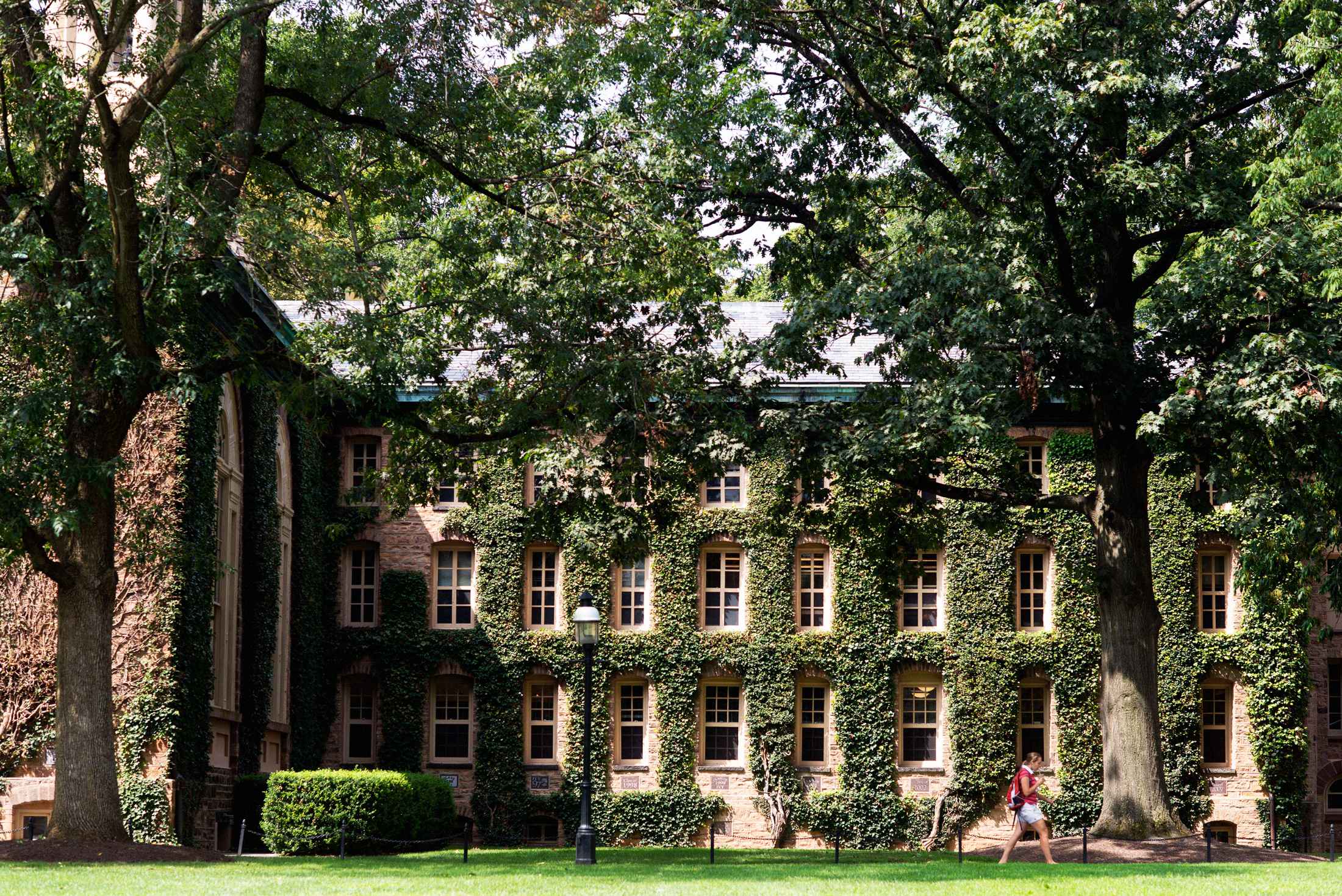 Princeton.