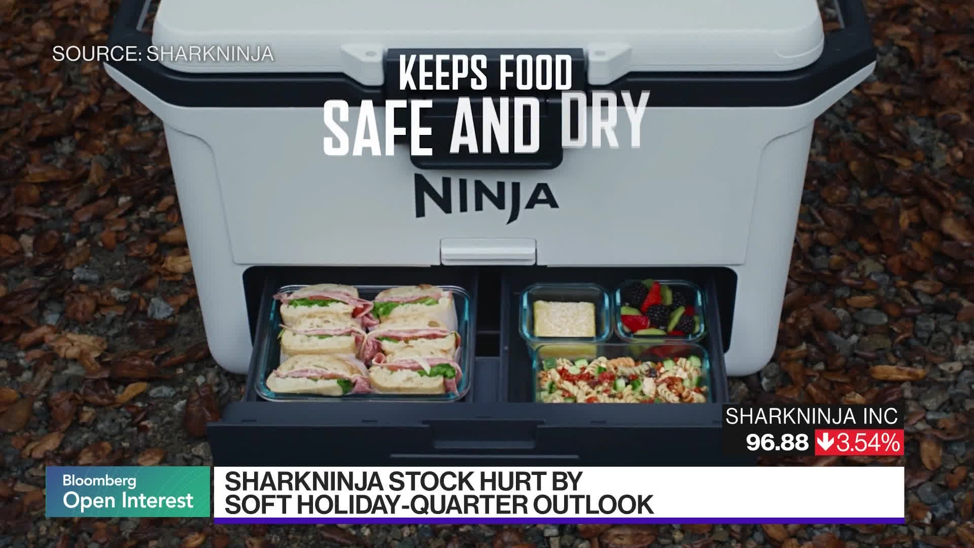 Watch SharkNinja CEO says the Holiday Push is starting earlier