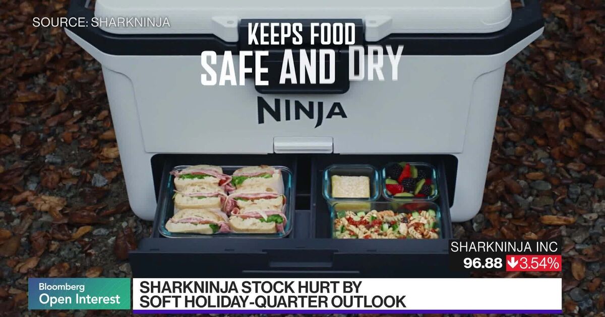 Watch SharkNinja CEO says the Holiday Push is starting earlier