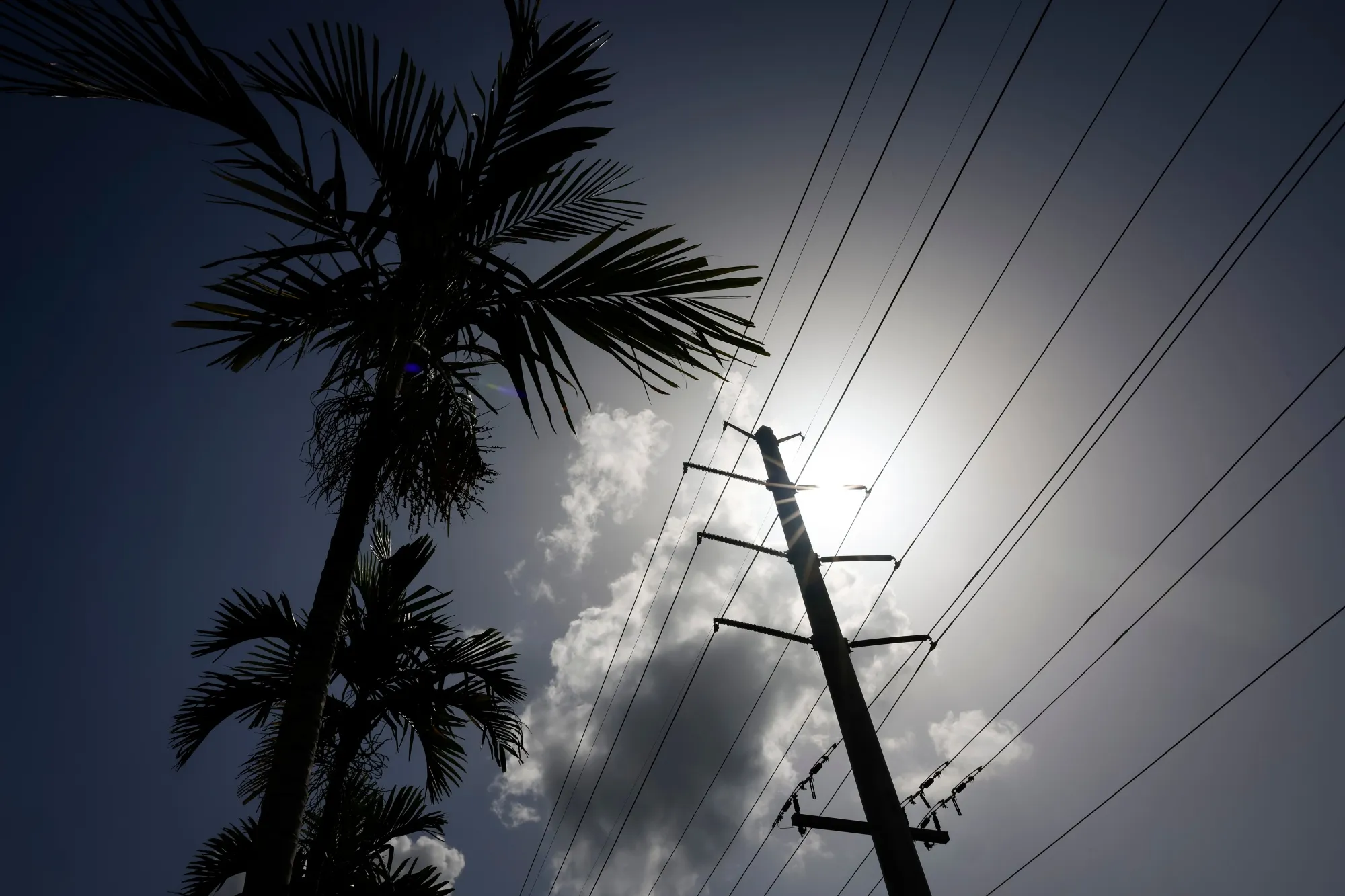 Power lines in Miami. TS Conductor wants to change the wires that transmit&nbsp;electricity.&nbsp;