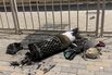 QATAR-IRAN-ISRAEL-US-CONFLICT