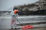 Repsol's Peru Oil Spill Affected 106 Square Kilometers