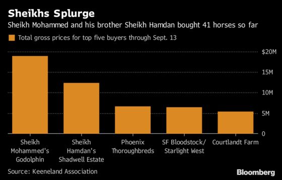 Dubai Ruler Goes on Spending Spree at U.S. Thoroughbred Auction