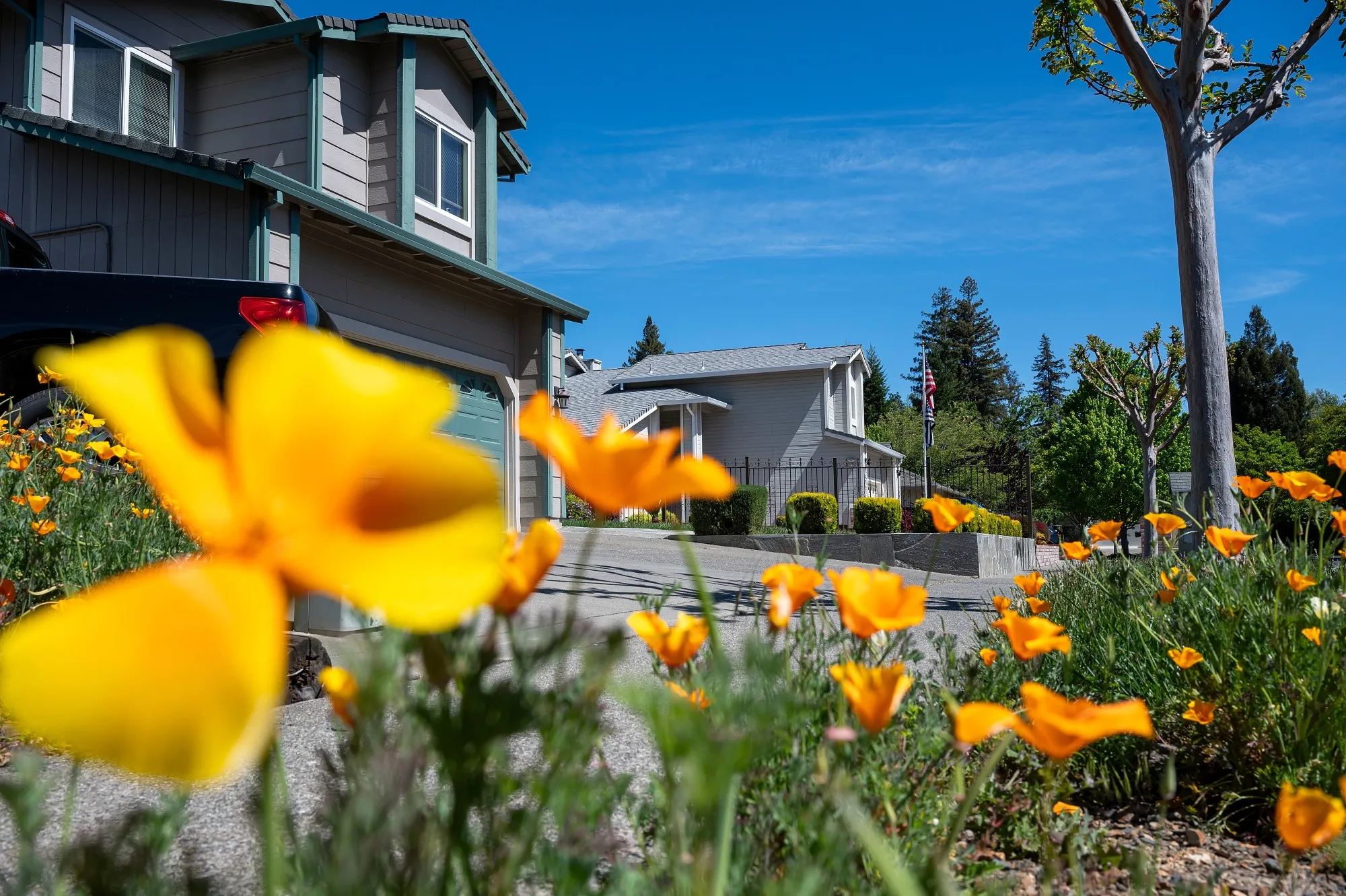 Homes in Napa, California.