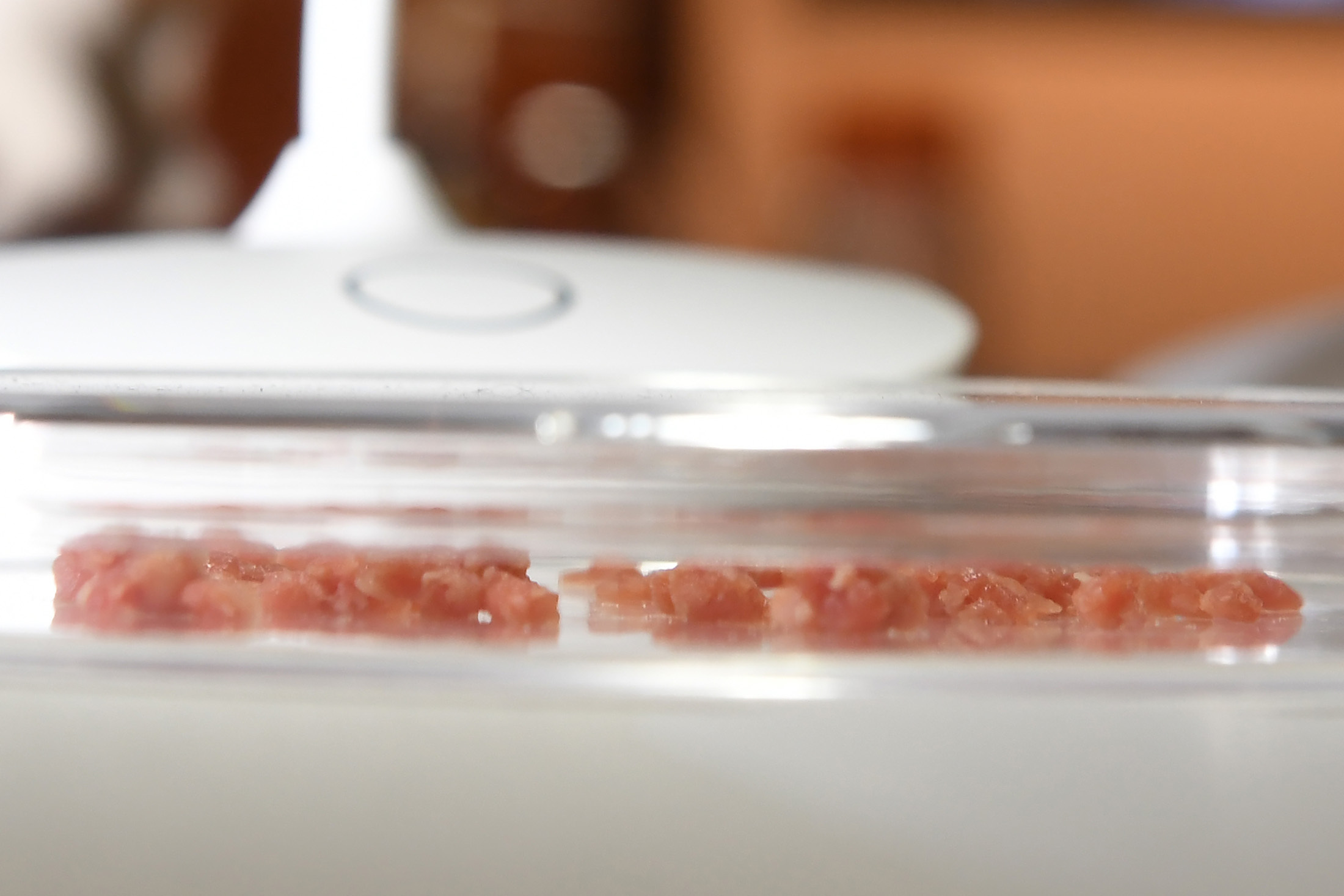 Scale is the Real Barrier for Lab-Grown Meat - AgFunderNews